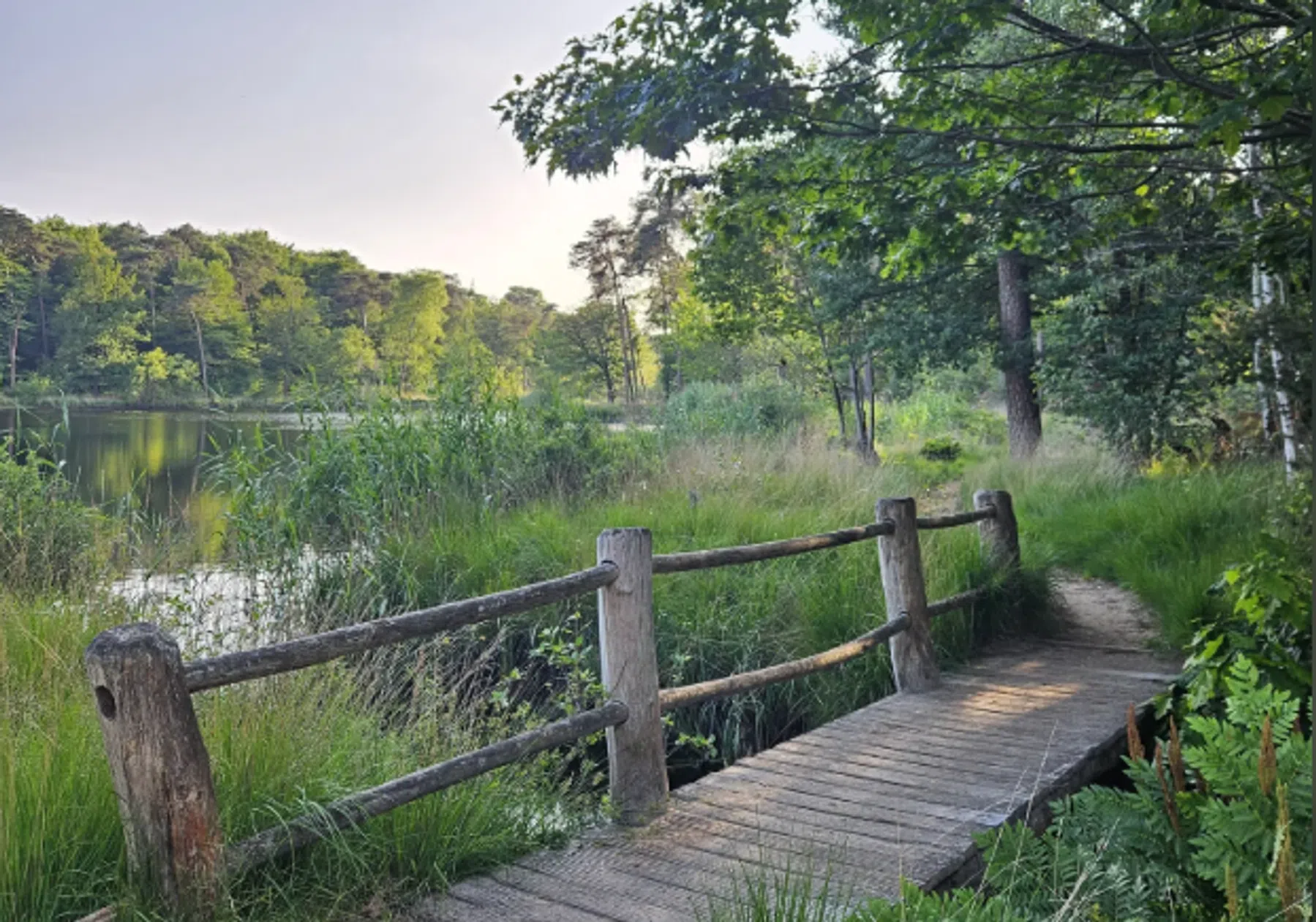 Ondersteunend beeld bij het artikel